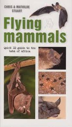[BKSA-ZOO] Quick ID Guide: Flying Mammals