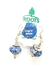 [ROC-EAR] ROC Sodalite Earrings